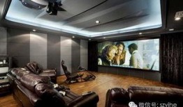 私人电影院在线观看,打造专属家的观影体验